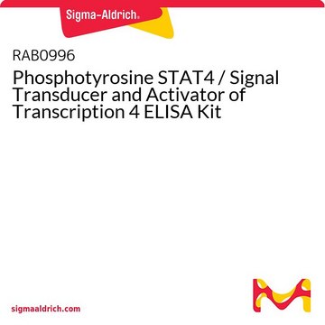 Phosphotyrosine STAT4 / Signal Transducer and Activator of Transcription 4 ELISA Kit