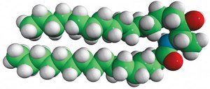 N-C16-deoxysphinganine N-palmitoyl-1-deoxysphinganine (m18:0/16:0), powder