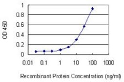 Monoclonal Anti-NPM1 antibody produced in mouse clone 1B11, purified immunoglobulin, buffered aqueous solution