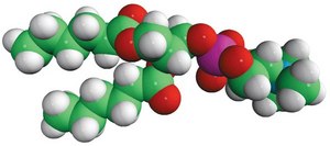 06:0 PC (DHPC) Avanti Research&#8482; - A Croda Brand