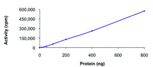 MET (958-end), active, GST tagged from rat PRECISIO&#174; Kinase, recombinant, expressed in baculovirus infected Sf9 cells, &#8805;70% (SDS-PAGE), buffered aqueous glycerol solution