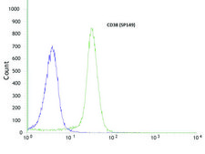 Anti-CD38 antibody, Rabbit monoclonal clone SP149, recombinant, expressed in proprietary host, tissue culture supernatant