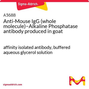 Anti-Mouse IgG (whole molecule)&#8722;Alkaline Phosphatase antibody produced in goat affinity isolated antibody, buffered aqueous glycerol solution