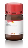 Phloxine B antibacterial fluorescent dye