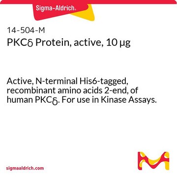 PKC&#948; Protein, active, 10 &#181;g Active, N-terminal His6-tagged, recombinant amino acids 2-end, of human PKC&#948;. For use in Kinase Assays.