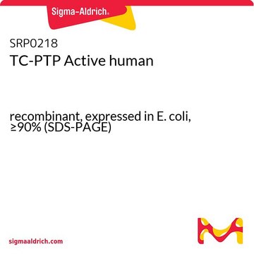 TC-PTP Active human recombinant, expressed in E. coli, &#8805;90% (SDS-PAGE)