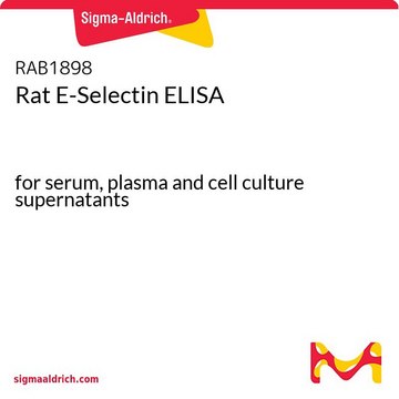 Rat E-Selectin ELISA for serum, plasma and cell culture supernatants