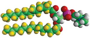 14:0 PC-d54 1,2-dimyristoyl-d54-sn-glycero-3-phosphocholine, powder