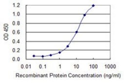 Monoclonal Anti-MKRN1 antibody produced in mouse clone 4E9, purified immunoglobulin, buffered aqueous solution
