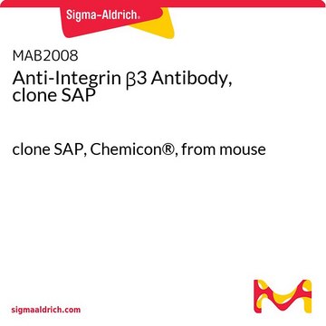 Anti-Integrin β3 Antibody, clone SAP clone SAP, Chemicon®, from mouse
