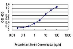 Monoclonal Anti-PKN2 antibody produced in mouse clone 3A7, purified immunoglobulin, buffered aqueous solution