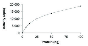 KAT5 (TIP60), Active recombinant