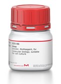 Urea powder, BioReagent, Molecular Biology, suitable for cell culture