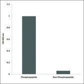 Anti-phospho-Smad3 (pSer425) antibody produced in rabbit affinity isolated antibody