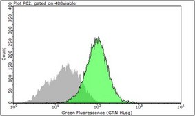 Anti-Integrin alpha5 (Preservative Free) Antibody, clone SNAKA51 clone SNAKA51, from mouse, purified by using protein G