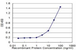 Monoclonal Anti-CD8A antibody produced in mouse clone 4B9, purified immunoglobulin, buffered aqueous solution