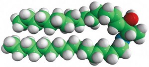 N-C16-deoxysphingosine N-palmitoyl-1-deoxysphingosine (m18:1/16:0), powder