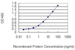 Monoclonal Anti-PLD1 antibody produced in mouse clone 2F3, purified immunoglobulin, buffered aqueous solution