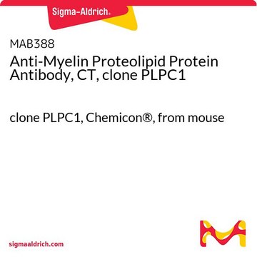 Anti-Myelin Proteolipid Protein Antibody, CT, clone PLPC1 clone PLPC1, Chemicon&#174;, from mouse