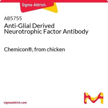 Anti-Glial Derived Neurotrophic Factor Antibody Chemicon&#174;, from chicken