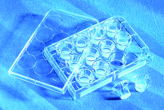 Corning® Transwell® polycarbonate membrane cell culture inserts 6.5 mm Transwell Inserts with 8.0 μm pore polycarbonate membrane coated w/ Cultrex BME, w/lid, sterile, 24/cs