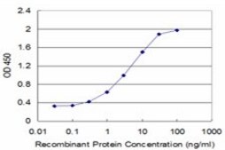 Monoclonal Anti-CBS, (N-terminal) antibody produced in mouse clone 6B8, purified immunoglobulin, buffered aqueous solution