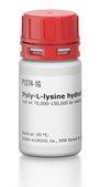 Poly-L-lysine hydrobromide mol wt 70,000-150,000 by viscosity