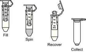 Amicon® Ultra Centrifugal Filter, 30 kDa MWCO sample volume 0.5 mL, regenerated cellulose membrane, MWCO 30 kDa