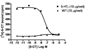 ChemiSCREEN Membrane Preparation Recombinant Human 5-HT7 Serotonin Receptor Human 5-HT7 GPCR membrane preparation for Radioligand binding Assays &amp; GTP&#947;S binding.