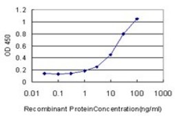 Monoclonal Anti-HYAL1 antibody produced in mouse clone 2H7, purified immunoglobulin, buffered aqueous solution
