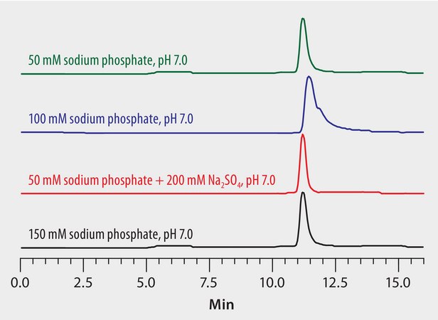 Mobile Phase Optimization in the Analysis of Lysozyme on Zenix® SEC-300 application for HPLC
