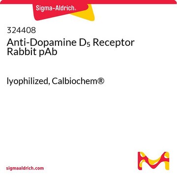 Anti-Dopamine D5 Receptor Rabbit pAb lyophilized, Calbiochem&#174;