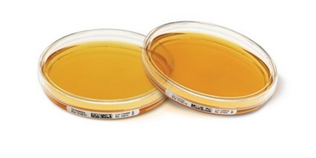 Tryptic Soy Agar - Ready-to-use Settle Plates Cephase, Lecithin, Tween&#174;, ICR plate, sterile; irradiated, plate diam. 90&#160;mm, suitable for air monitoring