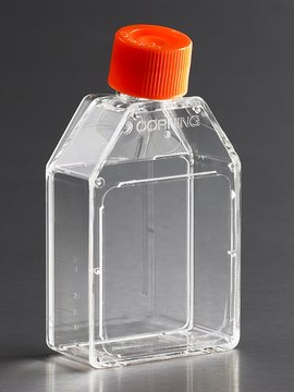 Corning&#174; cell culture flasks surface area 25&#160;cm2, canted neck, cap (plug seal)