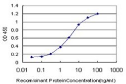ANTI-ABL2 antibody produced in mouse clone 5C7, purified immunoglobulin, buffered aqueous solution