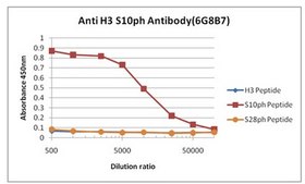 Anti-phospho Histone H3 (Ser10), clone 6G8B7 Antibody clone 6G8B7, 1&#160;mg/mL, from rat