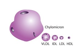 Lipoprotein, low density from human plasma &#8805;95% (SDS-PAGE), solution