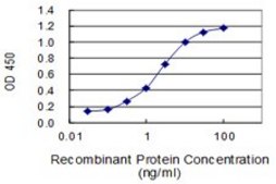 Monoclonal Anti-IL10 antibody produced in mouse clone 1C10, purified immunoglobulin, buffered aqueous solution