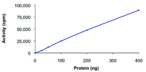 CDK9/CyclinK, active, GST tagged human PRECISIO&#174; Kinase, recombinant, expressed in baculovirus infected Sf9 cells, &#8805;70% (SDS-PAGE), buffered aqueous glycerol solution