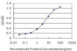Monoclonal Anti-TBL1X antibody produced in mouse clone 2B6, purified immunoglobulin, buffered aqueous solution