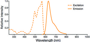 Monoclonal Anti-ENaC beta-PE/Atto 594 antibody produced in mouse clone 7B8