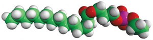 14:0 Lyso PE 1-myristoyl-2-hydroxy-sn-glycero-3-phosphoethanolamine, powder