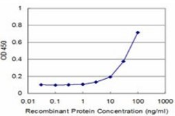 Monoclonal Anti-SNCB antibody produced in mouse clone 3G6, purified immunoglobulin, buffered aqueous solution