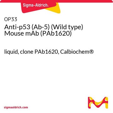 Anti-p53 (Ab-5) (Wild type) Mouse mAb (PAb1620) liquid, clone PAb1620, Calbiochem&#174;