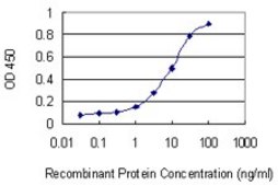 Monoclonal Anti-DCBLD2 antibody produced in mouse clone 3G10, purified immunoglobulin, buffered aqueous solution