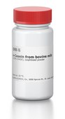 &#954;-Casein from bovine milk &#8805;70% (PAGE), lyophilized powder