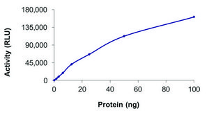 PFTK1 (CDK14)/CYCLINY, Active PRECISIO&#174; Kinase, recombinant