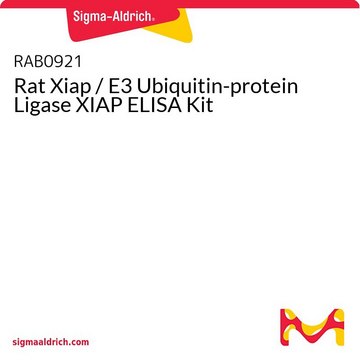 Rat Xiap / E3 Ubiquitin-protein Ligase XIAP ELISA Kit