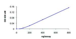 CDC25A, active, GST tagged human recombinant, expressed in baculovirus infected Sf9 cells, &#8805;70% (SDS-PAGE), buffered aqueous glycerol solution