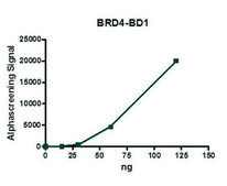 BRD4 (49-170) His tag human recombinant, expressed in E. coli, &#8805;90% (SDS-PAGE)